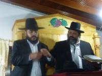 /album/fotogaleria-bet-simja/p1020779-jpg/